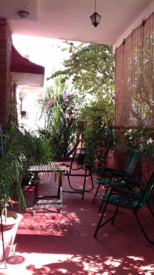 "Nain'S Kunj" A Traveller'S Home Jodhpur  Luaran gambar